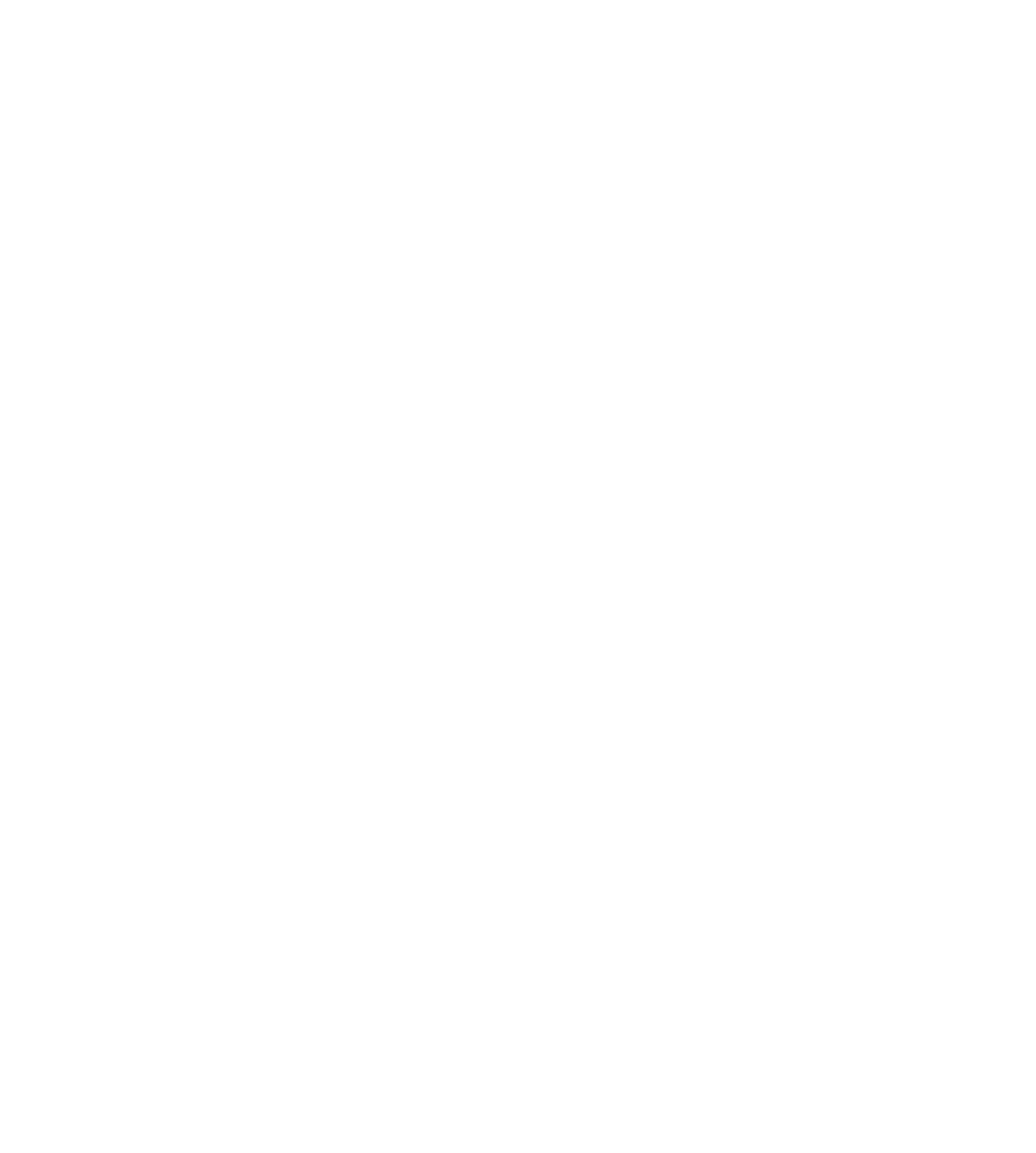 BlauwKonijn wit
